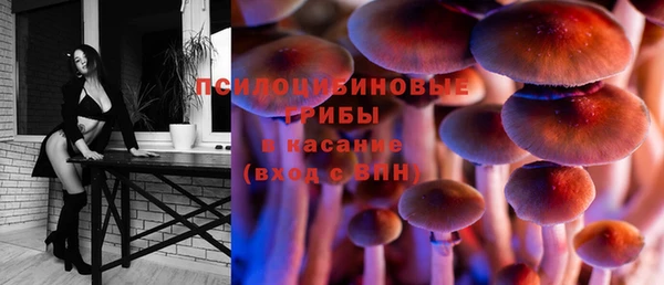 крисы Алексин