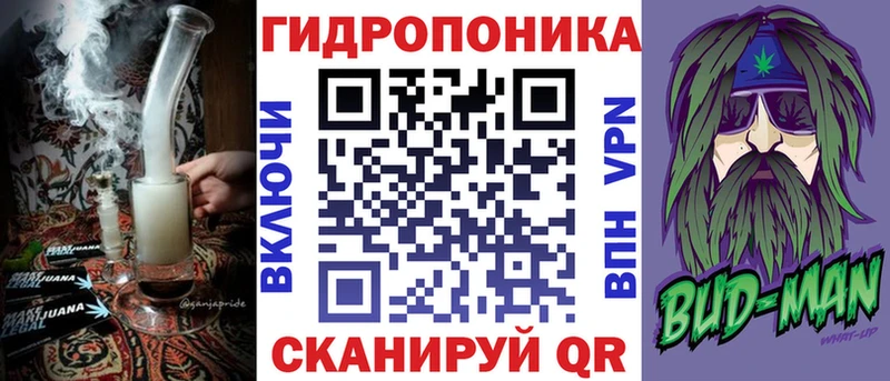Марихуана OG Kush  Остров 